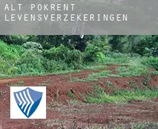 Alt Pokrent  levensverzekeringen