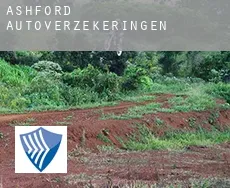 Ashford  autoverzekeringen