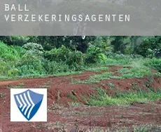 Ball  verzekeringsagenten