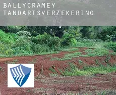 Ballycramey  tandartsverzekering
