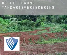 Belle Chaume  tandartsverzekering