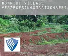 Bonriki Village  verzekeringsmaatschappij