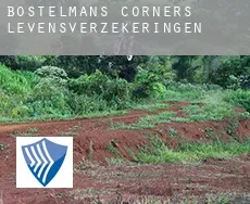 Bostelmans Corners  levensverzekeringen