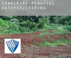 Canalejas de Peñafiel  autoverzekering