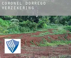 Partido de Coronel Dorrego  verzekering