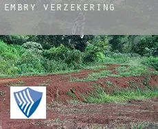 Embry  verzekering