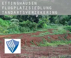 Ettinghausen Flugplatzsiedlung  tandartsverzekering