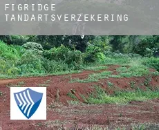 Figridge  tandartsverzekering