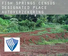 Fish Springs autoverzekering