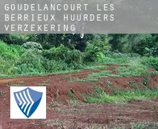 Goudelancourt-lès-Berrieux  huurders verzekering