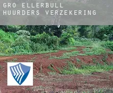 Groß Ellerbüll  huurders verzekering
