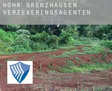 Höhr-Grenzhausen  verzekeringsagenten