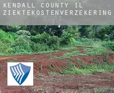 Kendall County  ziektekostenverzekering