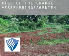 Kill of the Grange  verzekeringsagenten
