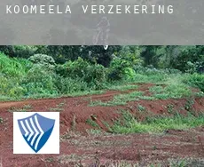 Koomeela  verzekering