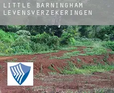 Little Barningham  levensverzekeringen