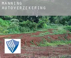 Manning  autoverzekering