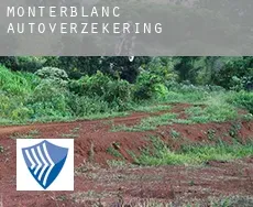 Monterblanc  autoverzekering