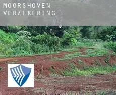 Moorshoven  verzekering