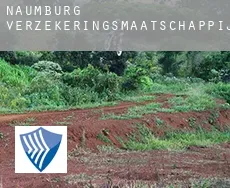 Naumburg  verzekeringsmaatschappij