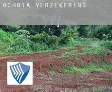 Ochota  verzekering