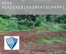 Oğuz  verzekeringsmaatschappij