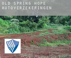 Old Spring Hope  autoverzekeringen