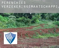 Pérenchies  verzekeringsmaatschappij
