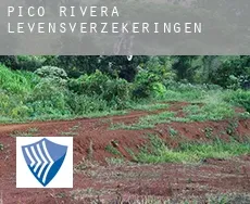 Pico Rivera  levensverzekeringen