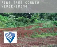 Pine Tree Corner  verzekering
