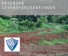 Roseburg  levensverzekeringen