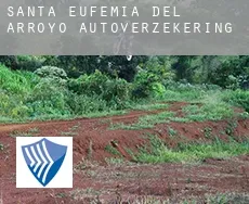 Santa Eufemia del Arroyo  autoverzekering