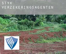 Styx  verzekeringsagenten