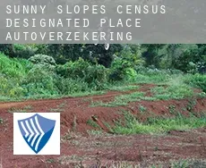 Sunny Slopes  autoverzekering