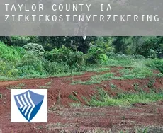 Taylor County  ziektekostenverzekering