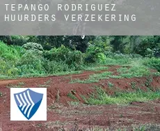 Tepango de Rodríguez  huurders verzekering