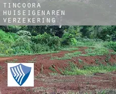Tincoora  huiseigenaren verzekering