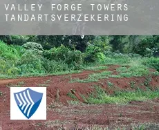Valley Forge Towers  tandartsverzekering