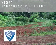 Yebra tandartsverzekering