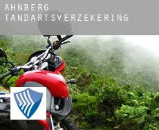 Ahnberg  tandartsverzekering