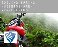 Boiling Spring  huiseigenaren verzekering