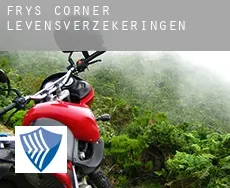 Frys Corner  levensverzekeringen