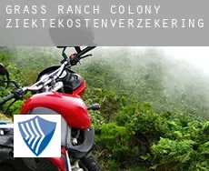 Grass Ranch Colony  ziektekostenverzekering