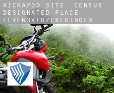 Kickapoo Site 2  levensverzekeringen