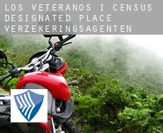 Los Veteranos I  verzekeringsagenten
