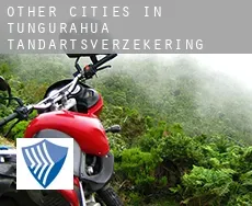 Other cities in Tungurahua  tandartsverzekering