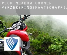 Peck Meadow Corner  verzekeringsmaatschappij