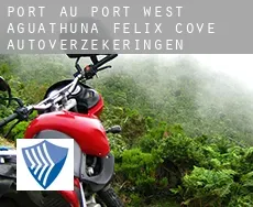 Port au Port West-Aguathuna-Felix Cove  autoverzekeringen