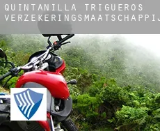 Quintanilla de Trigueros  verzekeringsmaatschappij