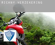 Říčany  verzekering